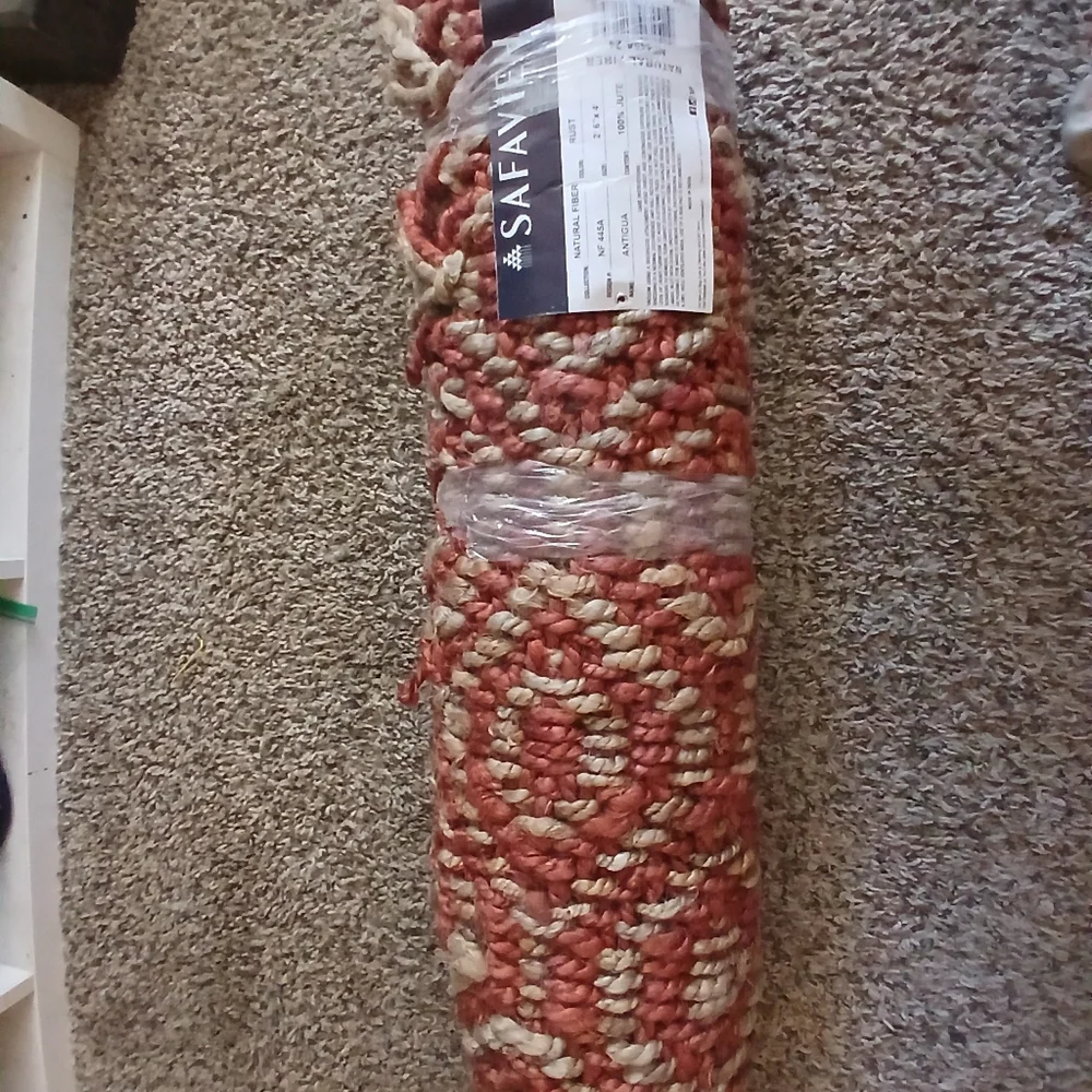 New Safavieh 4'x2'6 area rug from Overstock.com